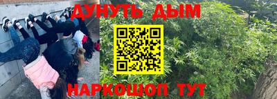 стафф Гусиноозёрск