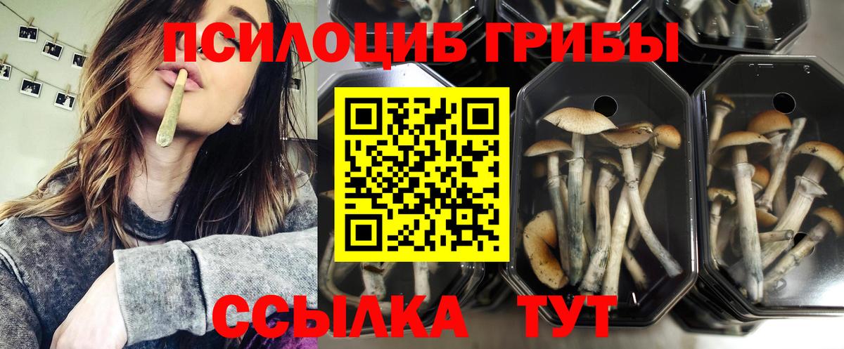 Галлюциногенные грибы Magic Shrooms  Вход с VPN  Волоколамск 